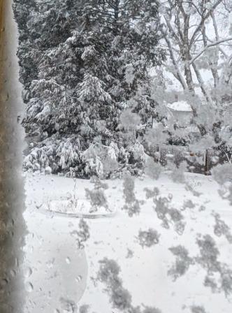 Blizzard 2026 Backyard View Blizzard 2026 Backyard View