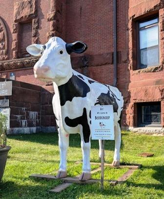 Montpelier Buddercup Cow