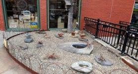 Montpelier Downtown - Rock Garden