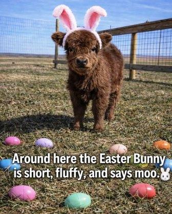 Easter cow