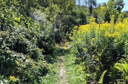 Montpelier Parks - North Branch River Park