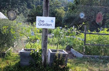 Montpelier Walking - Community Garden