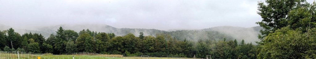 Vermont Farm - Foggy mountain view