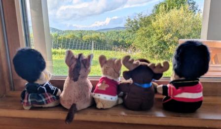 Vermont Farm - Guys enjoying view