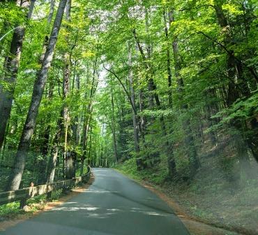 Vermont Farm - Road to Farm