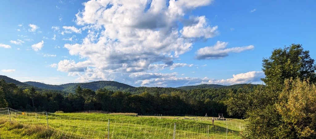 Vermont Farm - Sunny view from cabin