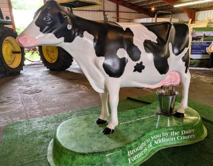 Rutland VT State Fair - Marketing Cow Rutland VT State Fair - Marketing Cow