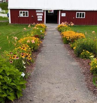 Rutland VT State Fair - Path to Dairy Barn Rutland VT State Fair - Path to Dairy Barn